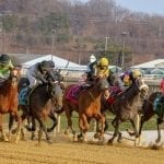 Delaware Park upgrades to HD signal with help from Jockey Club