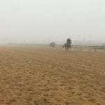 Looking for value sires in the Mid-Atlantic