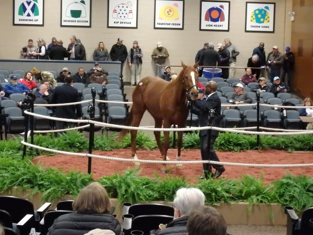 Fasig-Tipton