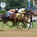 “Crookedest foal” Ava O running on the straight and narrow
