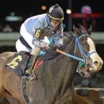 “Win and in” stakes introduced for May Maryland Jockey Club races