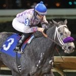 Mesotherm: “We might think about the General George”