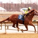 Laurel: News and notes for Jan. 26, 2019
