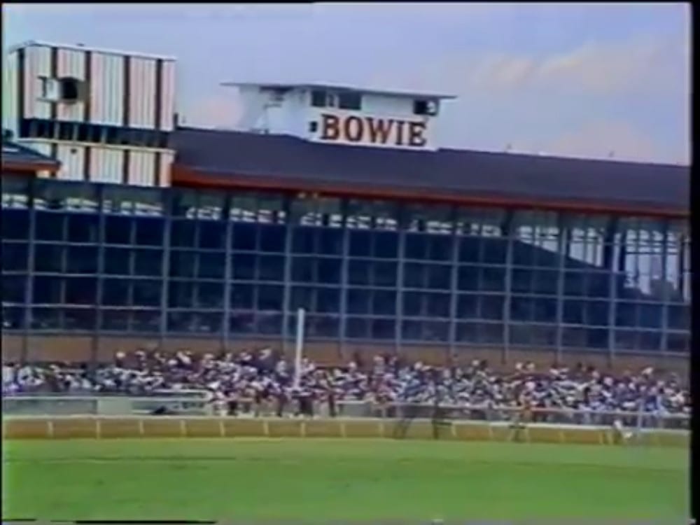Bowie