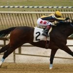Still Having Fun favored in G3 General George