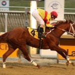 Ghosts of racetracks past: Shenandoah Downs, the track next door