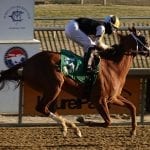 Justify named Horse of the Year