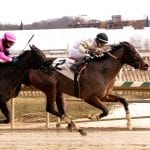 Bug boy Rosales earns first victory