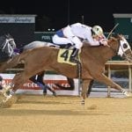 Pimlico: Bill would study the study