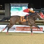 Where we stand with Pimlico: A timeline