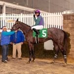 Totally Thoroughbred show will not be held in 2019