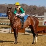 Motion hopes to be Flying the Flag in Pimlico Special