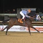 Code of Honor jumps to fourth in NTRA Top Thoroughbred Poll
