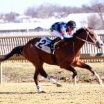 Claimbox: Midlantic claiming up 20% through February