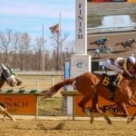MATCH Series: Top 2019 rivalry to determine champion