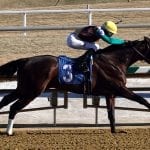 Alwaysmining, Las Setas speed to promising victories