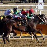 Madam Meena takes Laurel Friday feature