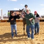 Triple Crown noms include 10 bred in Mid-Atlantic