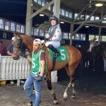 Stronach Group, PETA call for ban on horse sales to S. Korea
