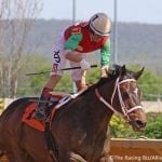 Top field set for Saturday’s Cotillion
