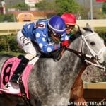 Gofundme set up for Leslie Condon’s horses