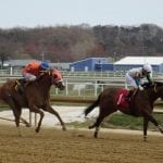 Jockeys’ Guild, TOC postpone whipless racing day