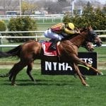 Out for a Spin zooms to head of Top Midlantic-bred Poll