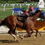 Favorites dominate WV-bred races on CT Classic undercard