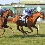 Mark Casse: Preakness score “my biggest victory”