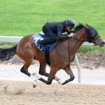 On Breeding: Field Pass and the Maryland influence