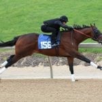 On Breeding: Fortheluvofbourbon product of generations
