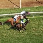 Delaware Park 2019 horses to watch: May 29