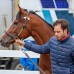 Everfast makes it a Preakness baker’s dozen