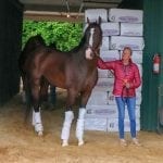 Gufo tabbed as G3 Kent Stakes favorite