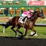 Preakness Memories: Gate Dancer, the horse who couldn’t run straight