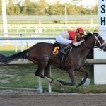 Tenfold takes step toward potential in Pimlico Special