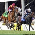 Mitchell Road paves way to Gallorette score