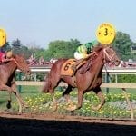 War of Will first Preakness horse at Pimlico