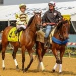 Lexitonian rallies to take Chick Lang in blanket finish