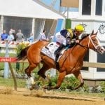 TAA Named Breeders’ Cup aftercare partner