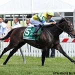 Unexpectedly eventful Preakness goes to War of Will