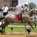 Graded stakes galore: The week in social media
