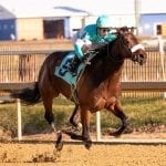 Firenze Fire headlines Fabulous Strike