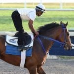 Fasig-Tipton 2yo sale by the numbers