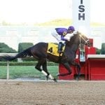 F-T sale, Derby DQ, and more: The week in social media