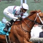 Preakness Profile: Mr. Big News