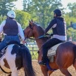 At Pimlico “idiosyncratic” murals add “flavor of racing”