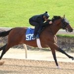 Half-million dollar horse tops day one of Fasig-Tipton Midlantic 2yo sale