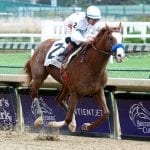 Maximum Security seizes top spot in NTRA Top Thoroughbred Poll