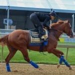 Preakness Profiles: Warrior’s Charge